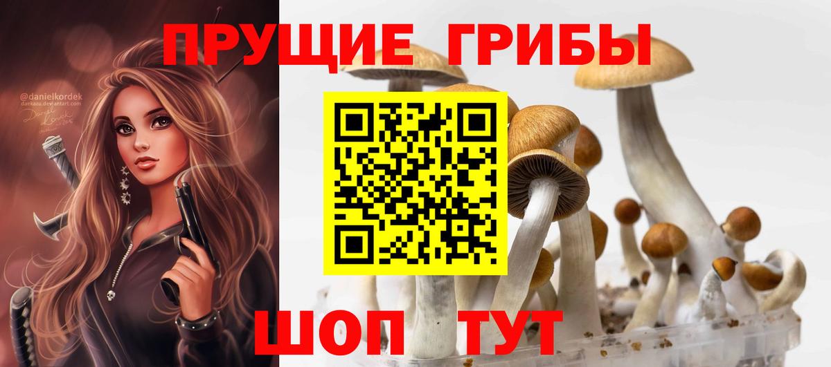 Лянтор  купить наркоту  Вход с VPN  Псилоцибиновые грибы мухоморы  Галлюциногенные грибы прущие грибы 